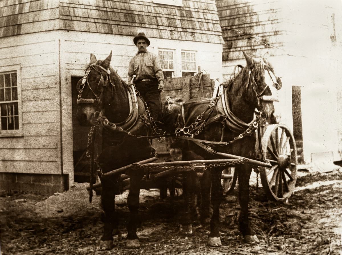 Enrico Fazzini, founder of Jamaica Ash & Rubbish Removal Co., standing on a horse-drawn wagon in 1923